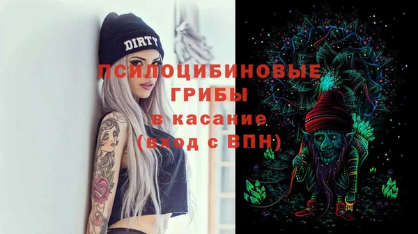 СК Саяногорск